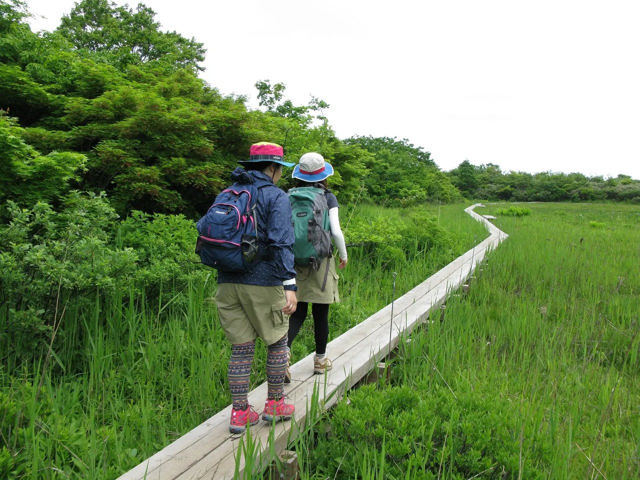 Kuwa no Mokudai Torekkingu