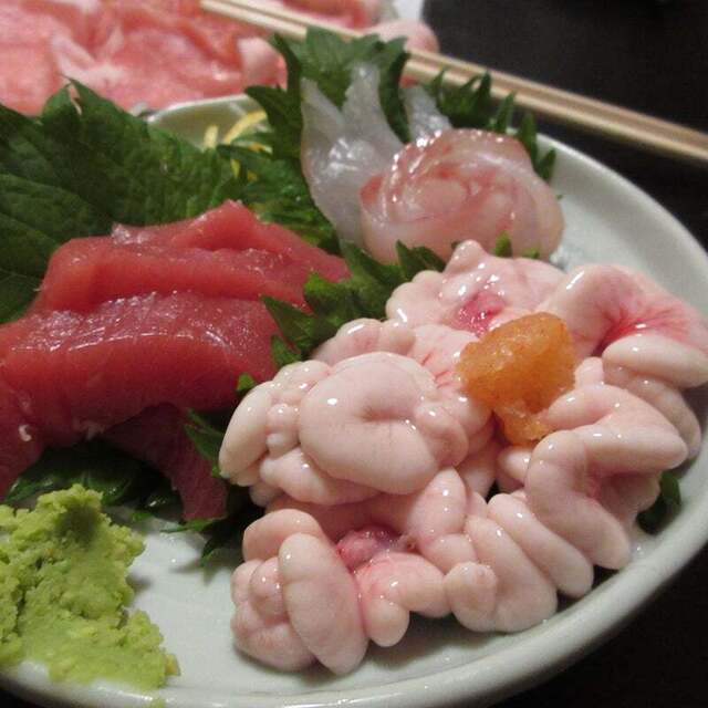 ONDO